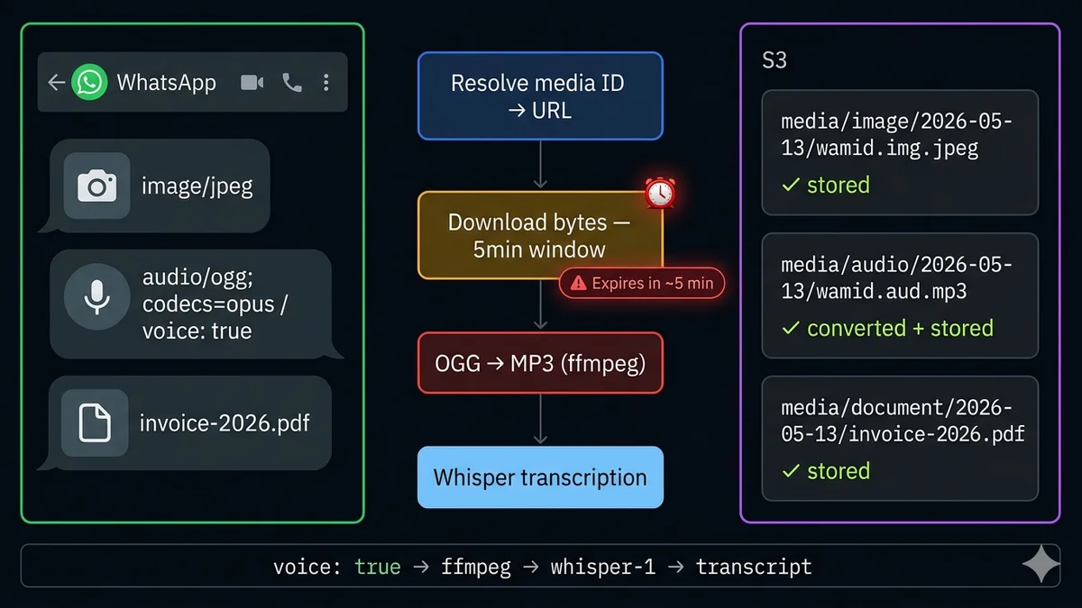 WhatsApp media webhook pipeline — media ID to download URL to converted file, with voice note OGG to MP3 conversion and Whisper transcription